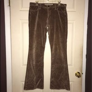 Brown Velvet Gap Jeans
